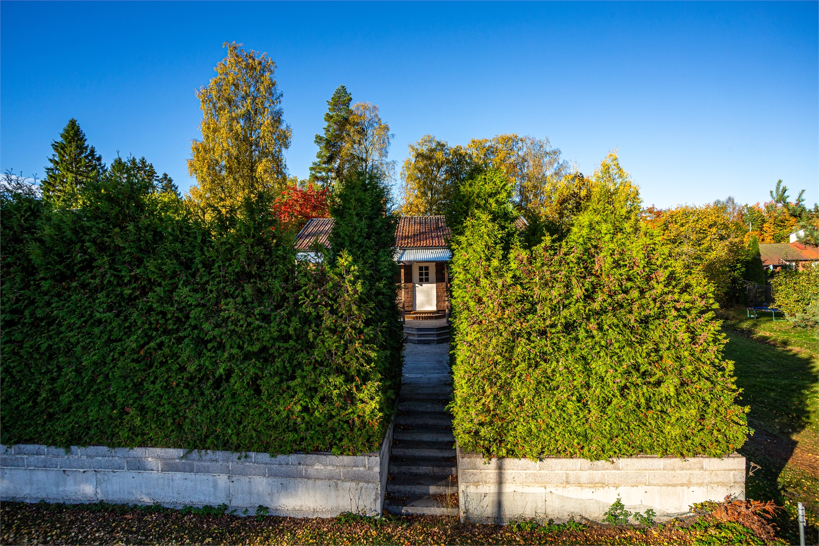 tis 20/10 – bild 23
