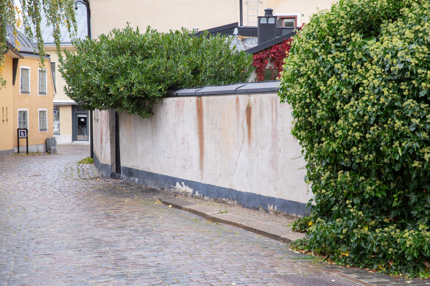 Se fler – bild 19
