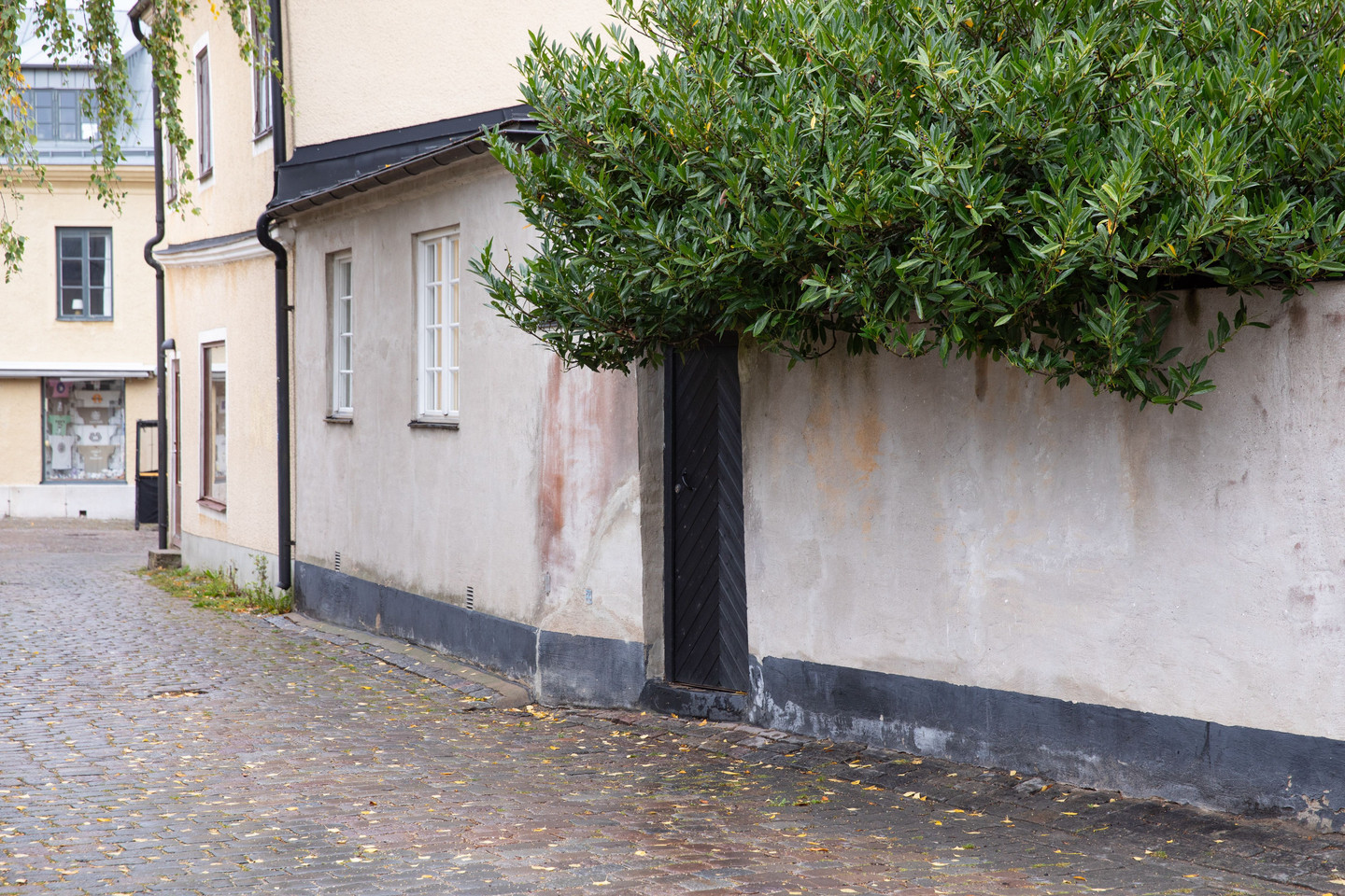 Se fler – bild 20
