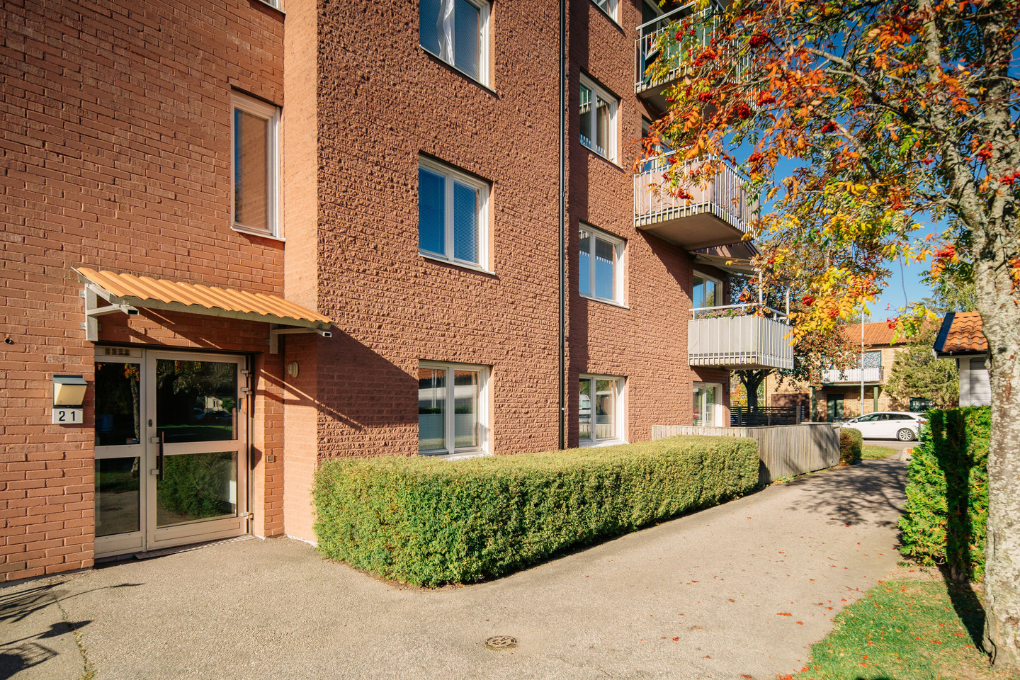 tors 22/10 – bild 2