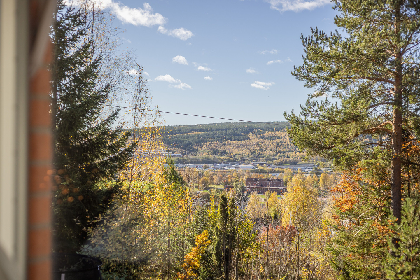 tors 15/10 – bild 25