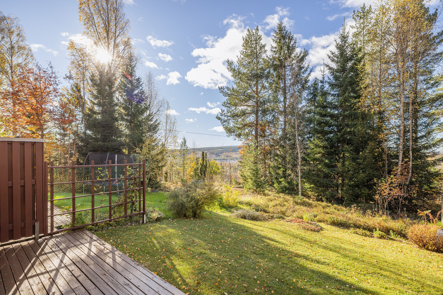 tors 15/10 – bild 23