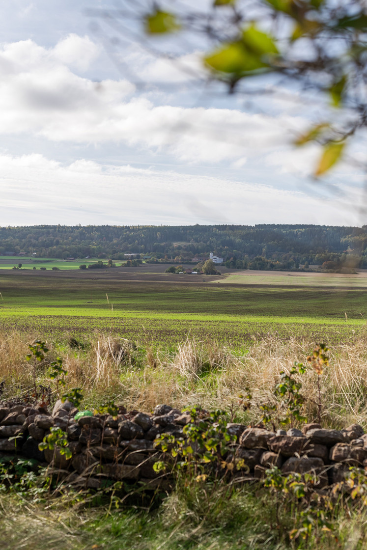 tors 15/10 – bild 6