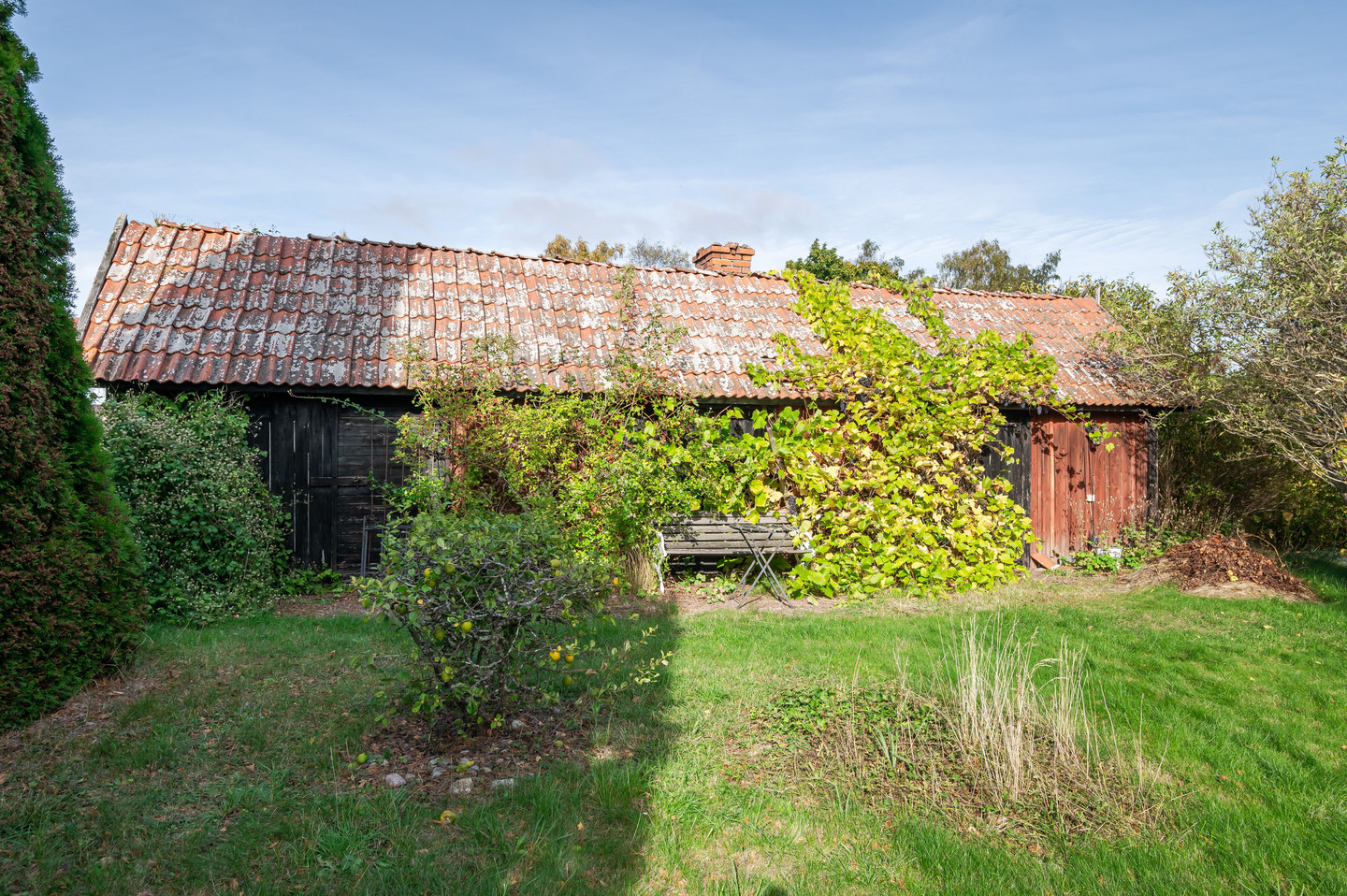 tors 15/10 – bild 7