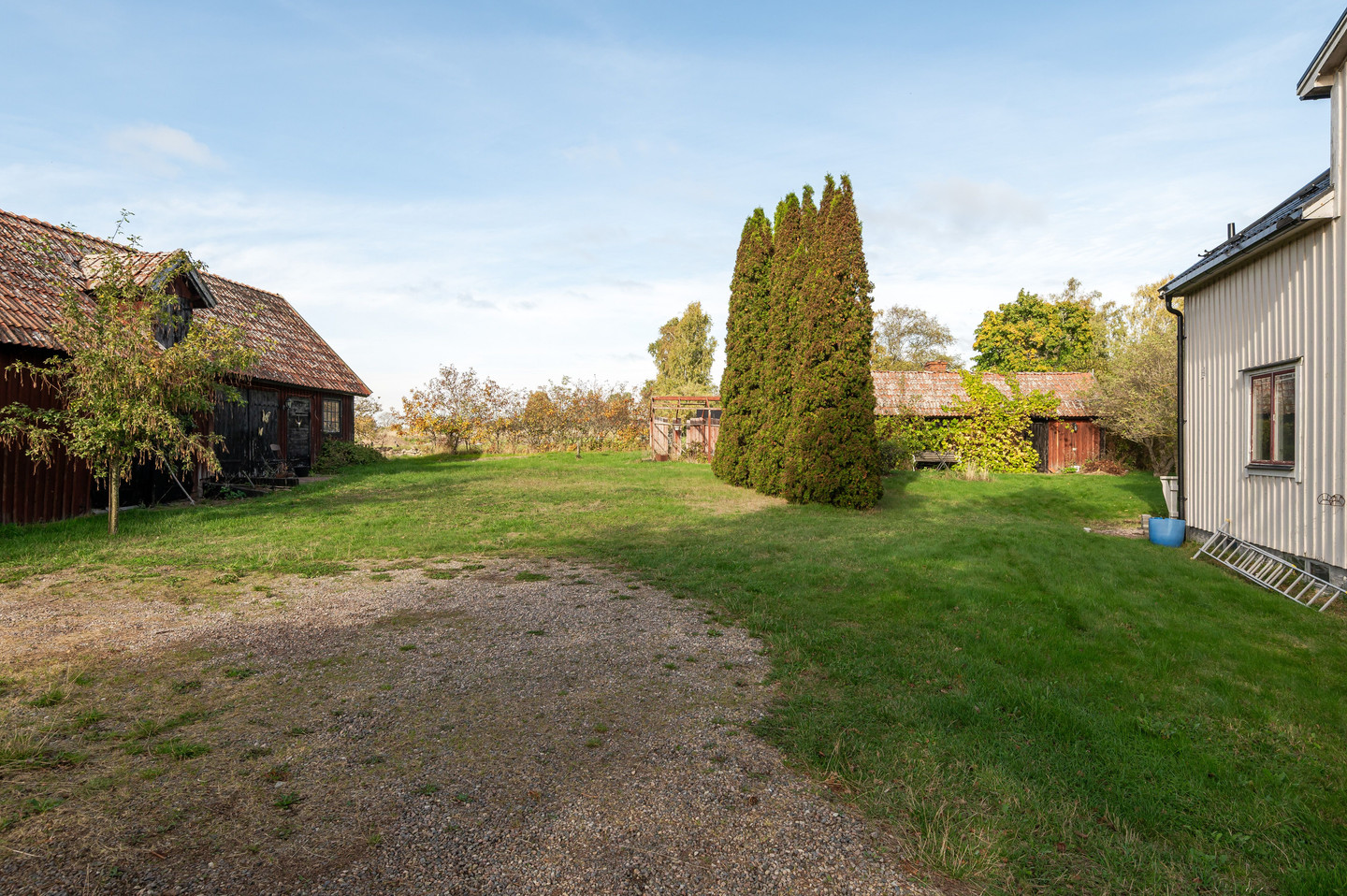 tors 15/10 – bild 8