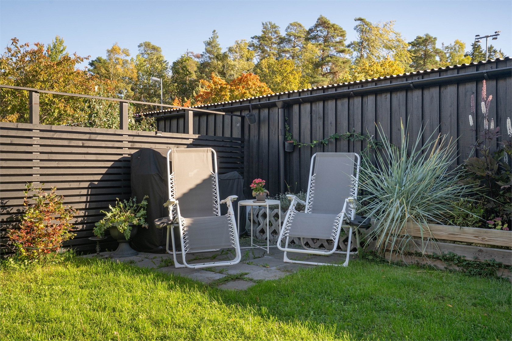 sön 11/10 – bild 6