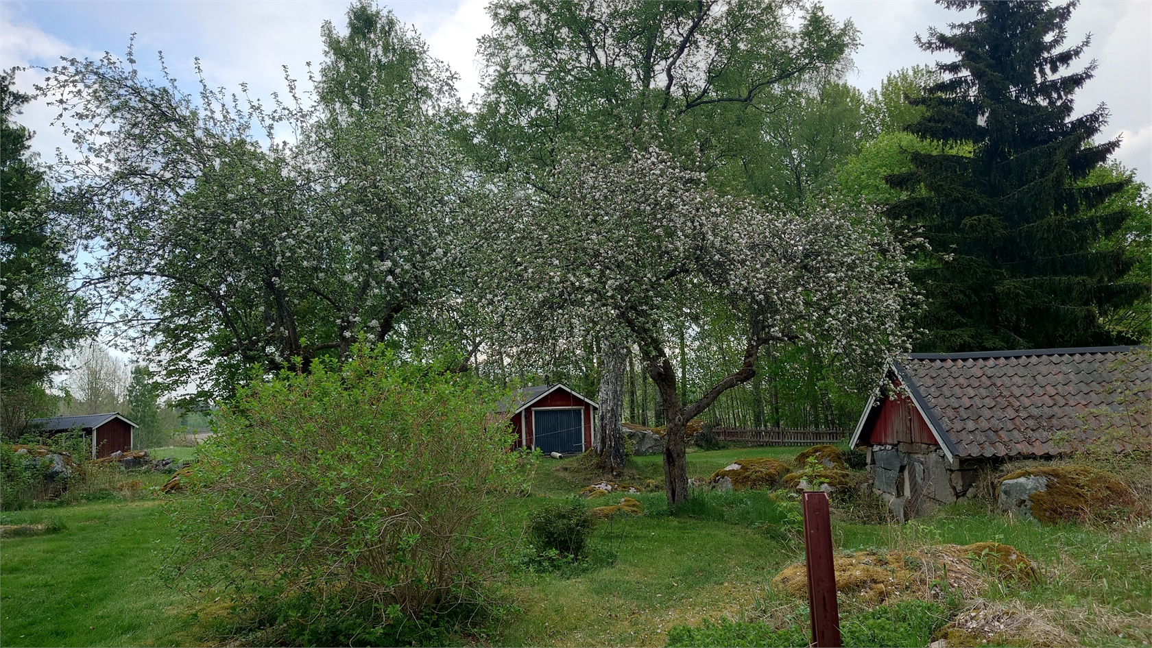 lör 31/10 – bild 39