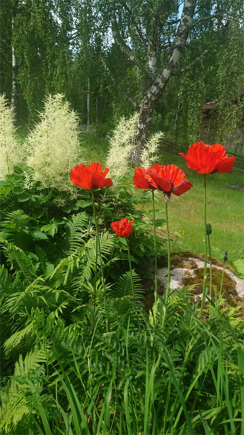 lör 31/10 – bild 40