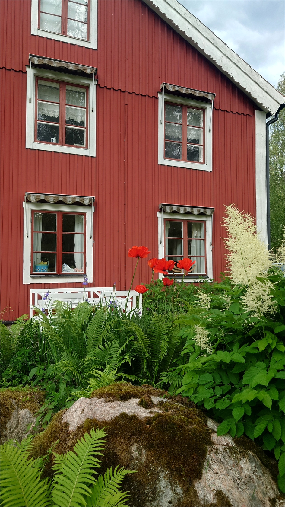 lör 31/10 – bild 37