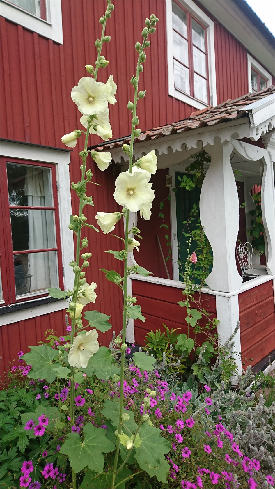 lör 31/10 – bild 36