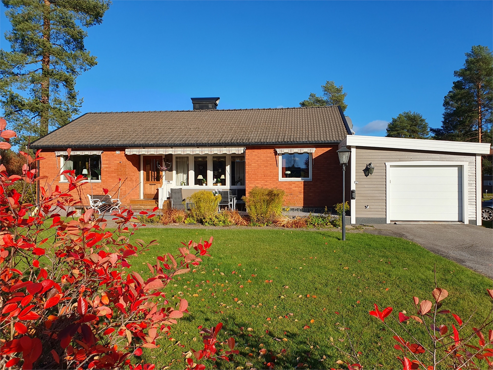 tors 29/10 – bild 34