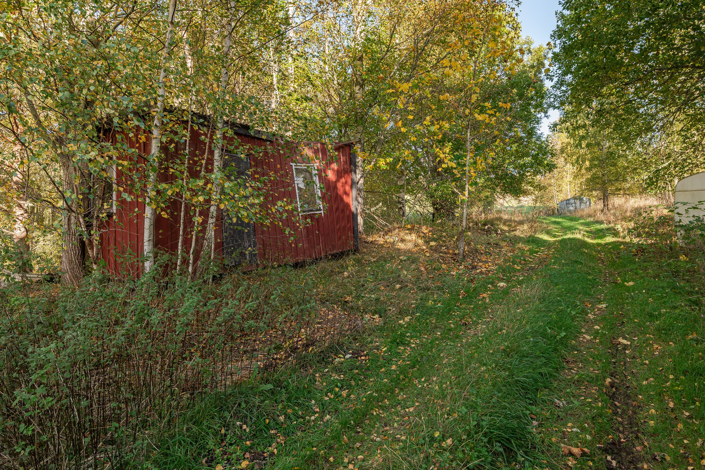 sön 25/10 – bild 14