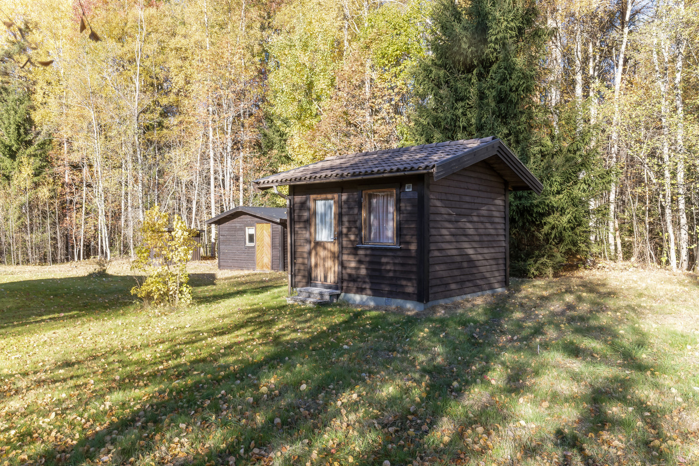 lör 17/10 – bild 20