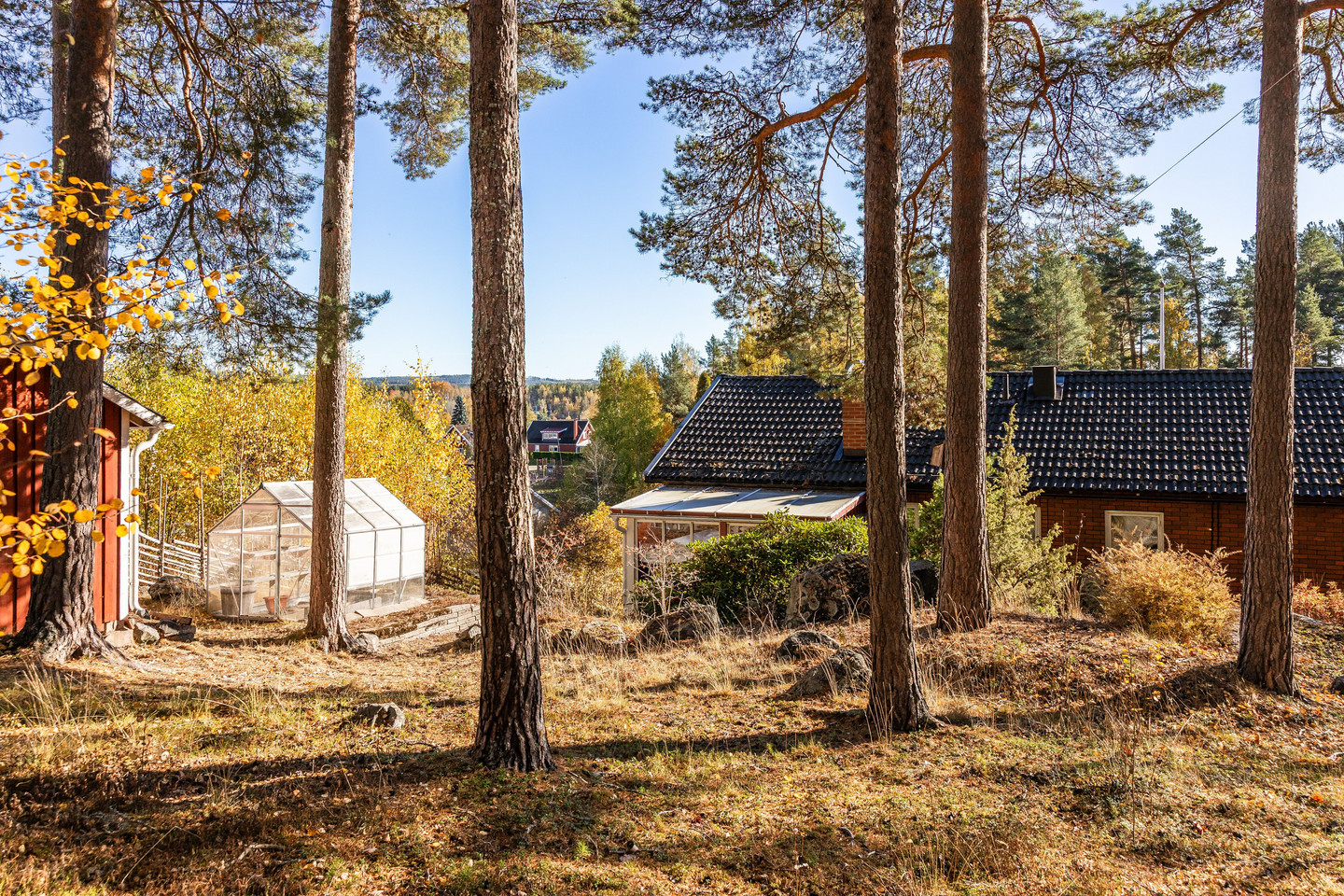 På gång – bild 11
