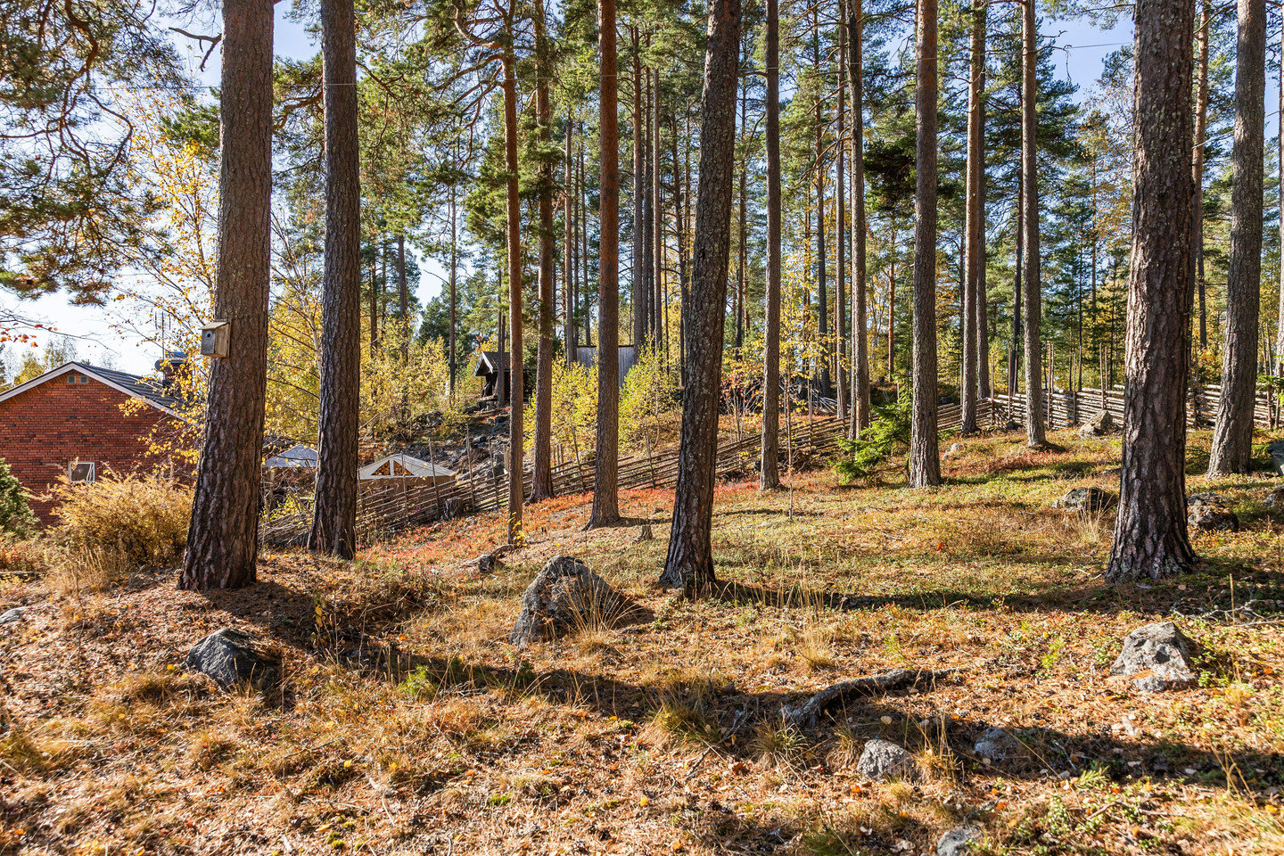 På gång – bild 5