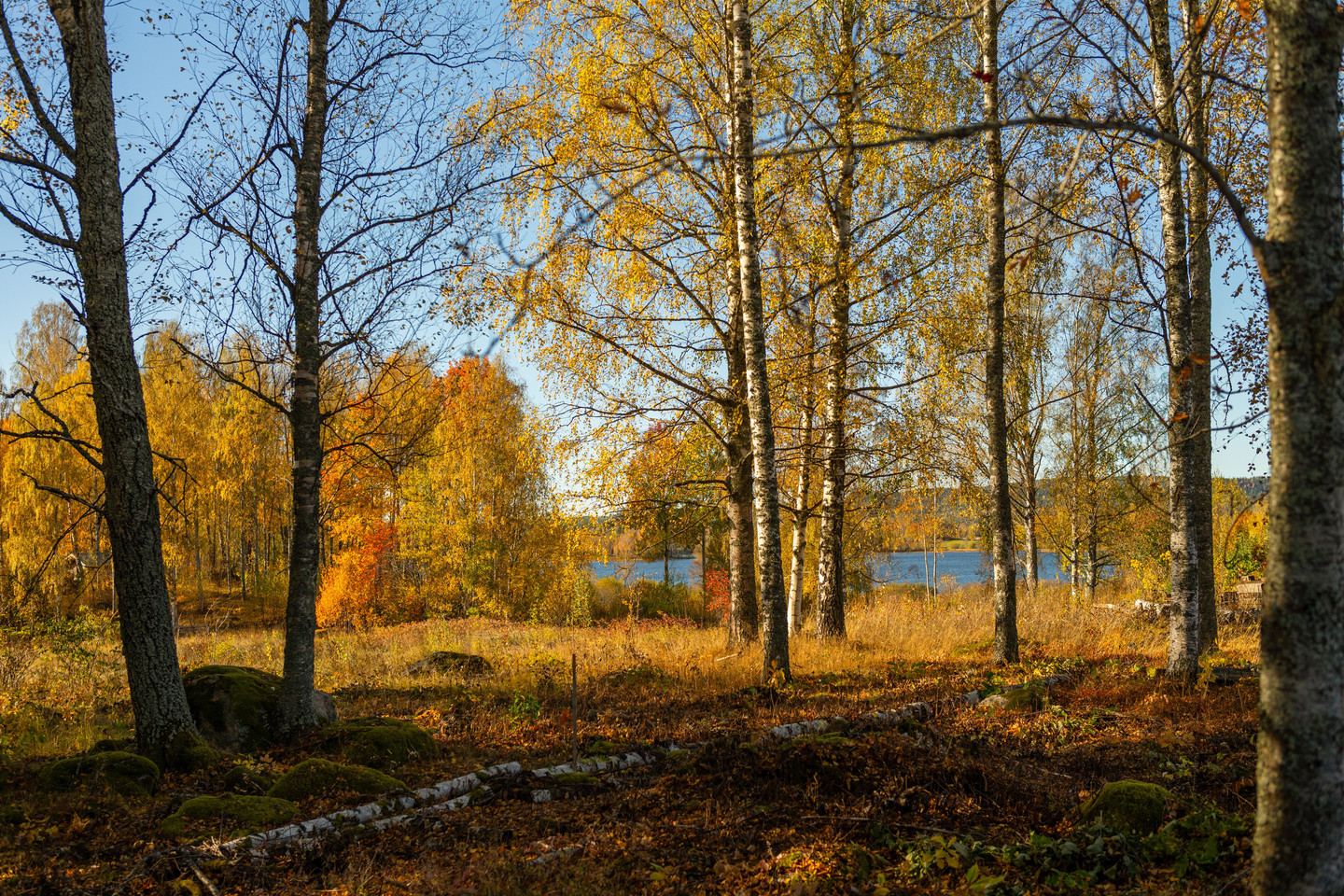 Se fler – bild 7