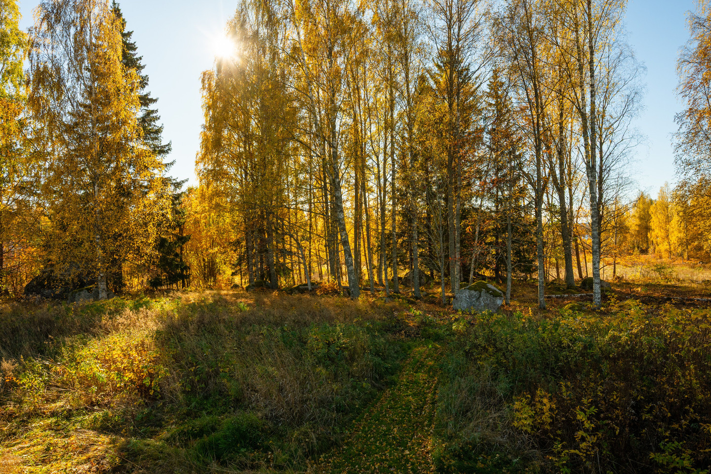 Se fler – bild 8