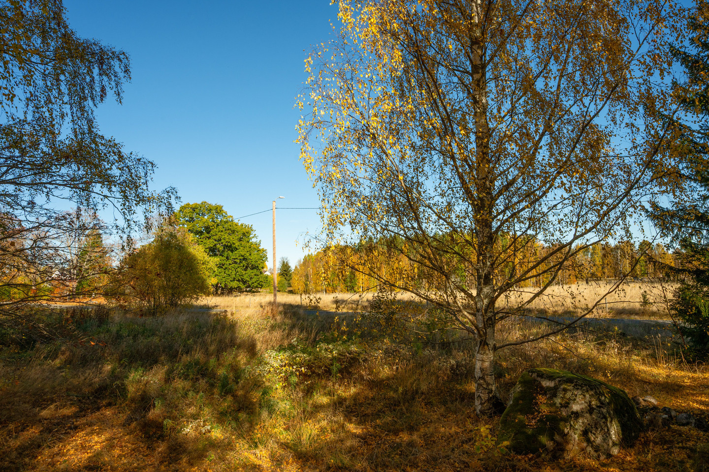 Se fler – bild 9