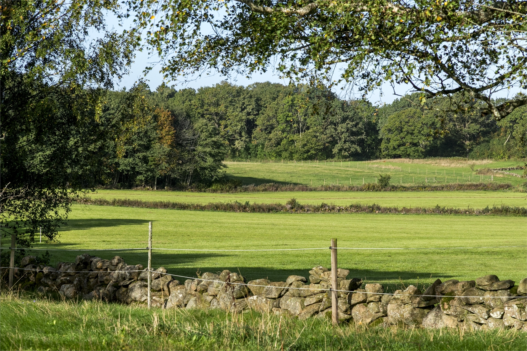 På gång – bild 18