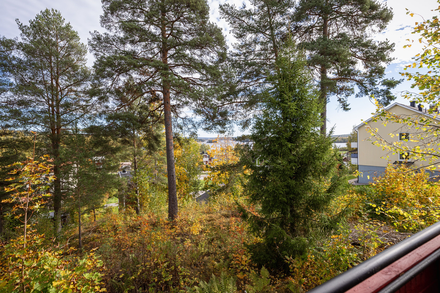 Se fler – bild 14