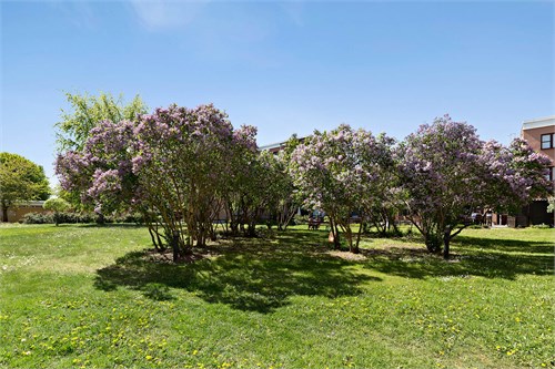 Utsikt från uteplats
