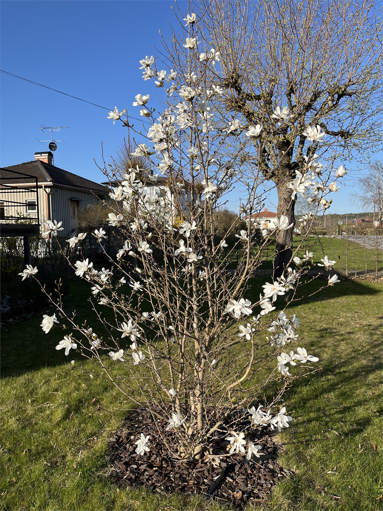 På gång – bild 61