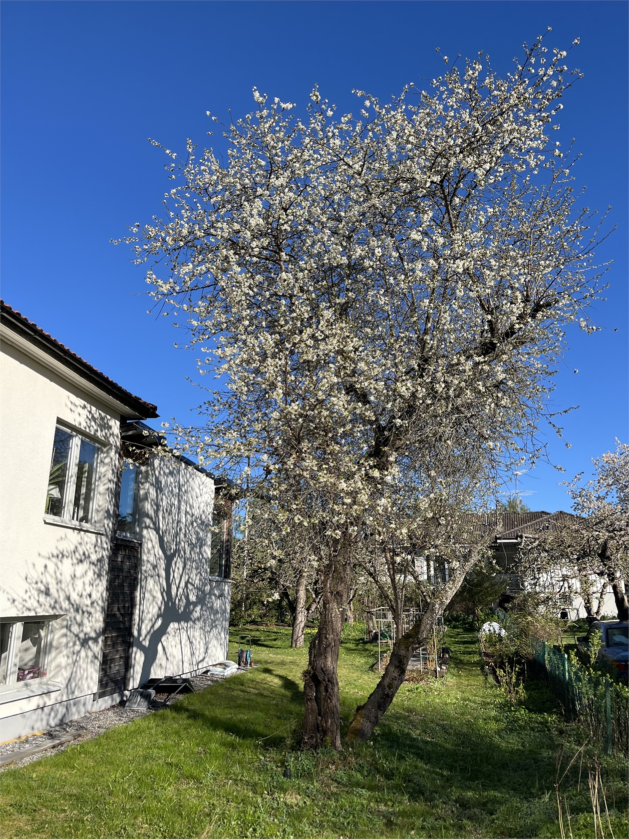 På gång – bild 70