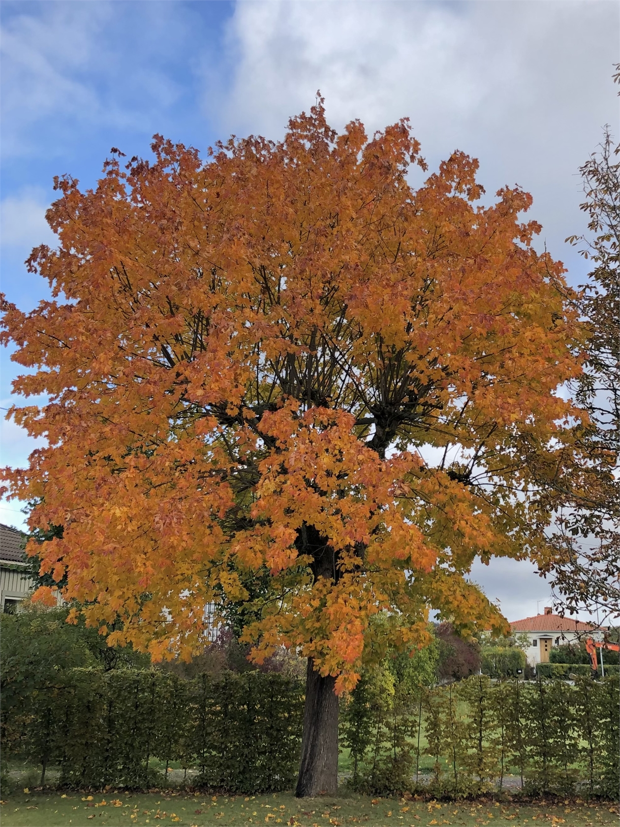 På gång – bild 73