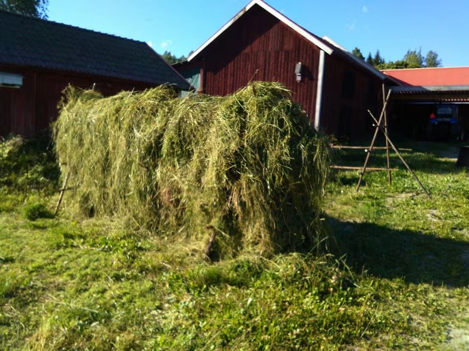 tis 27/10 – bild 49