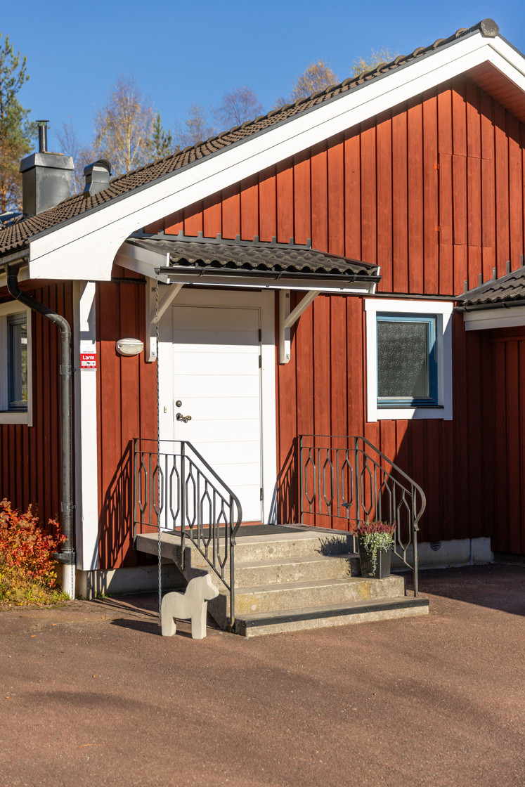 tors 5/11 – bild 31