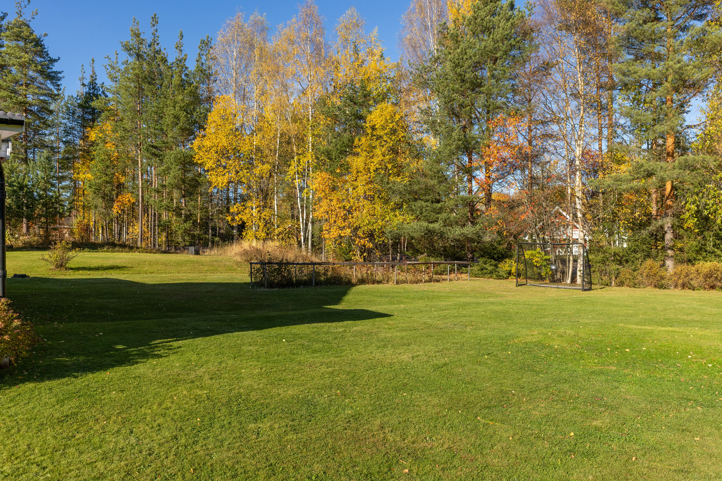 tors 5/11 – bild 23