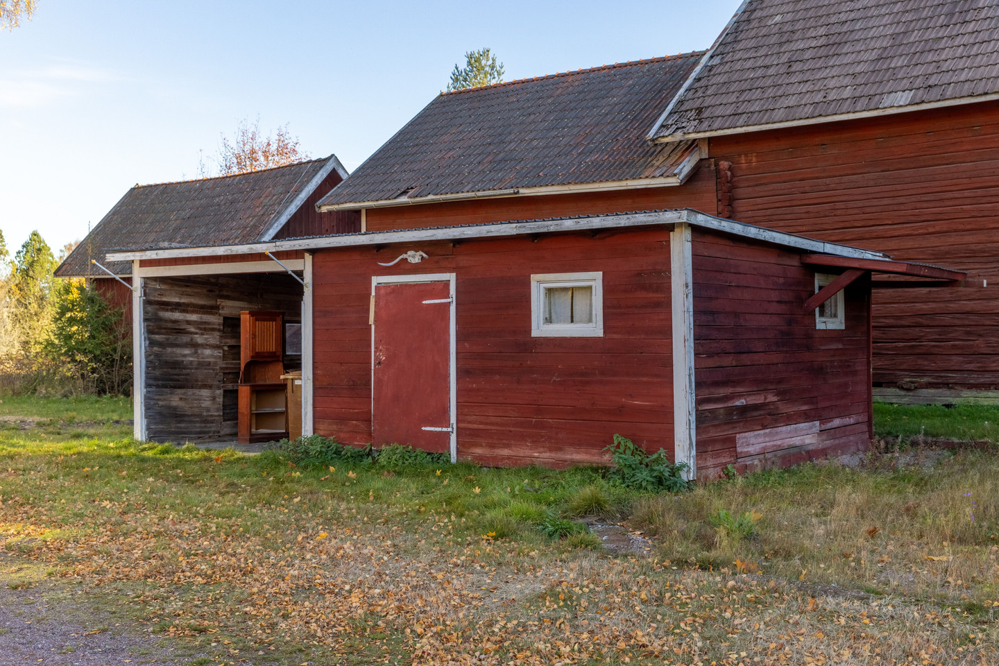 tors 29/10 – bild 31