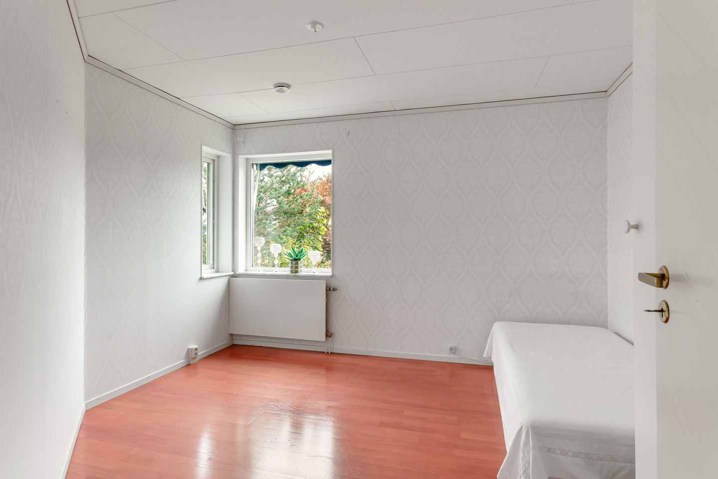 fre 30/10 – bild 31