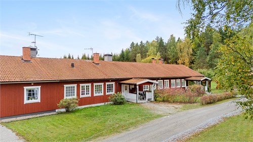 Rosöga by 11B