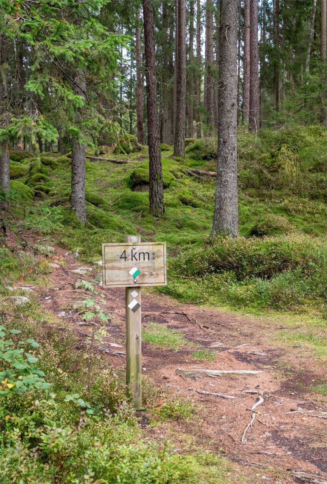 På gång – bild 43