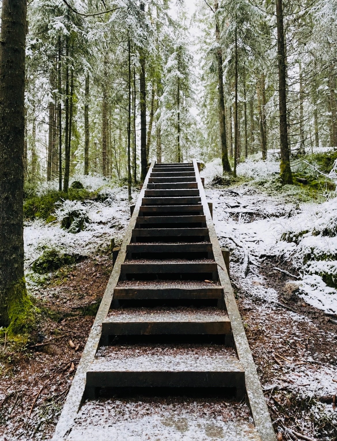 På gång – bild 45