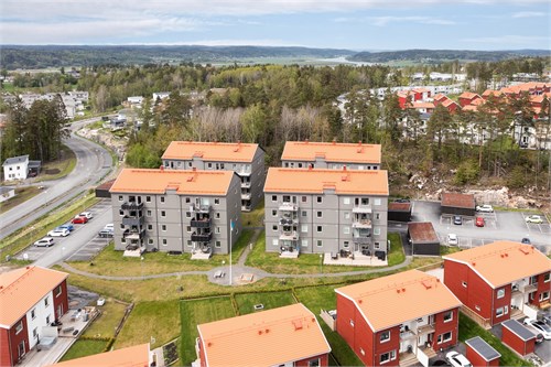 Vittrornas väg
