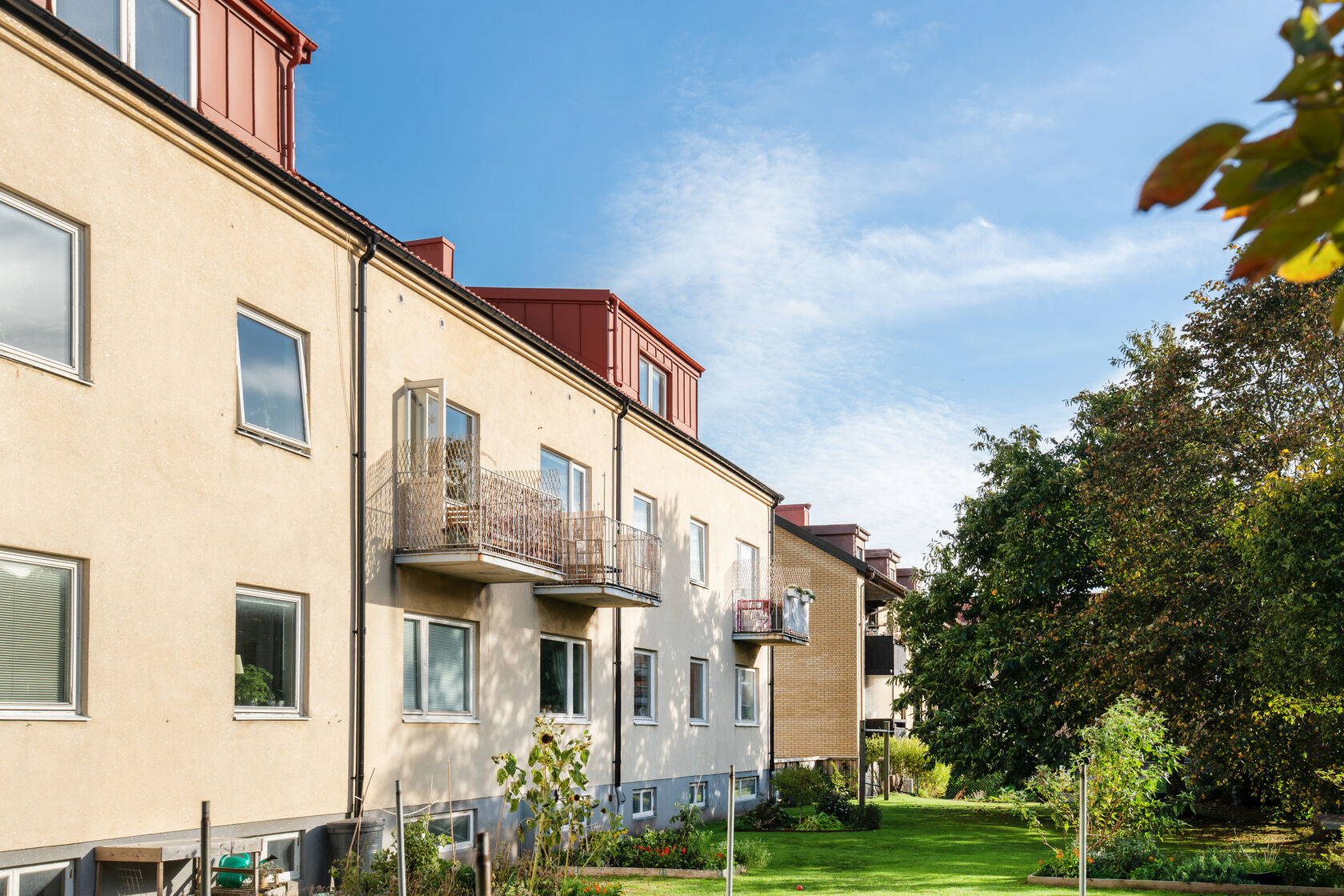 sön 1/11 – bild 21