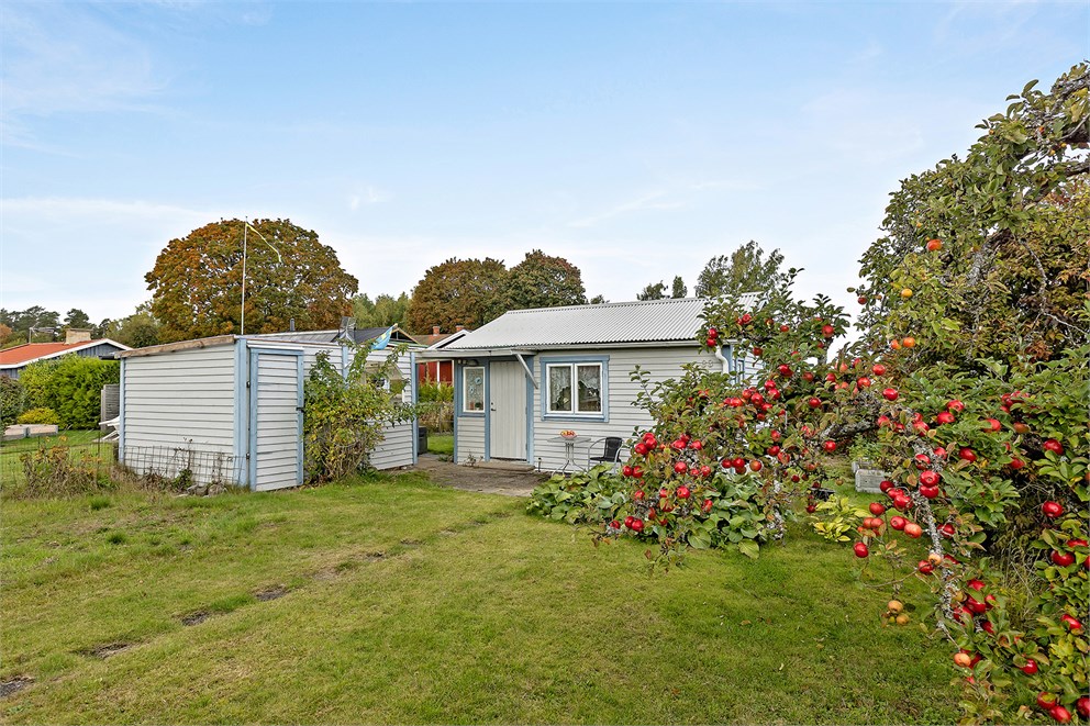 Domarringens koloniområde, kolonilott nummer 33