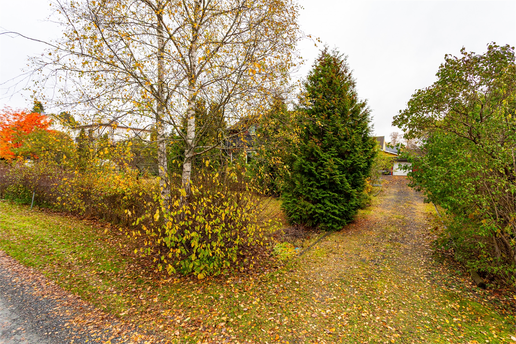 fre 6/11 – bild 30