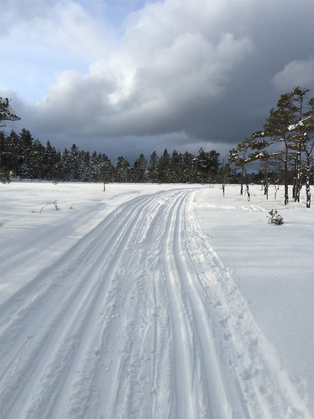 lör 14/11 – bild 36