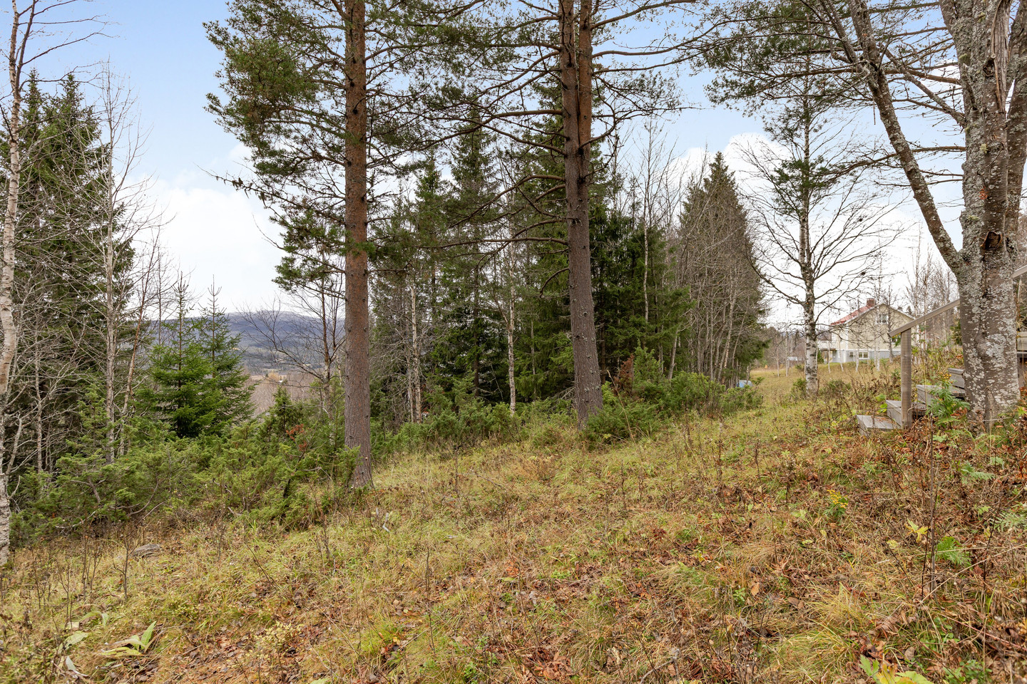 fre 30/10 – bild 26