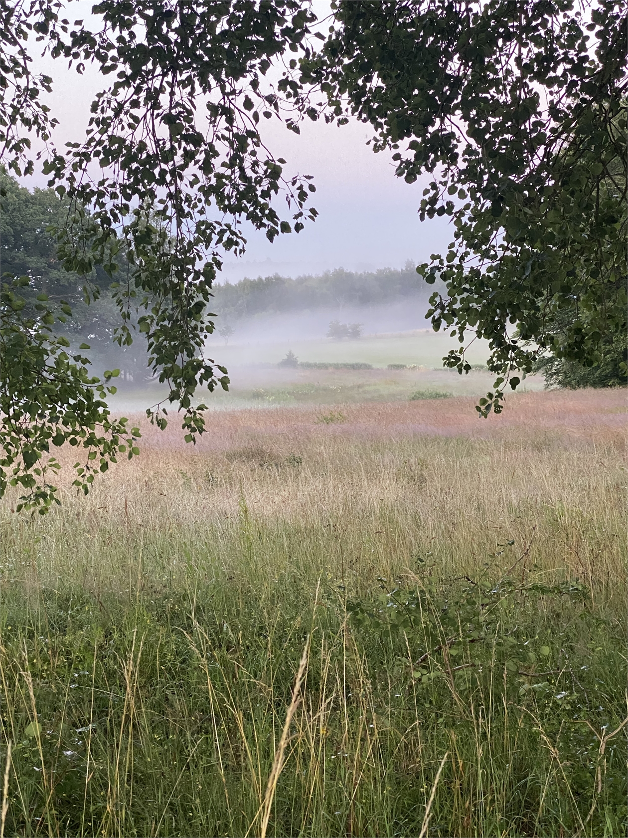 På gång – bild 8