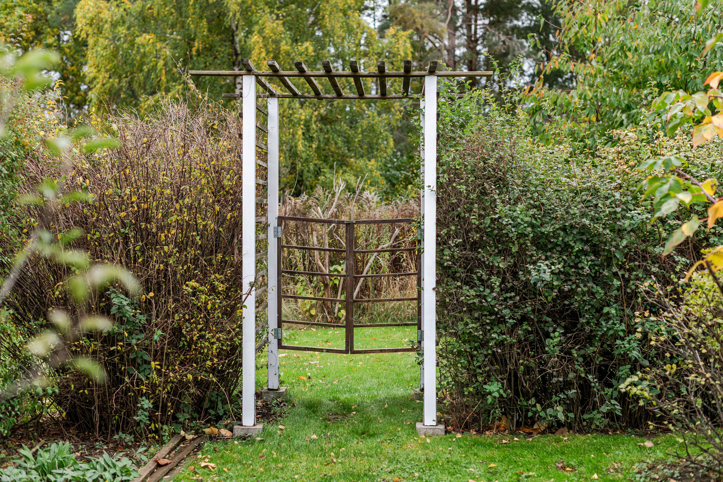sön 1/11 – bild 29