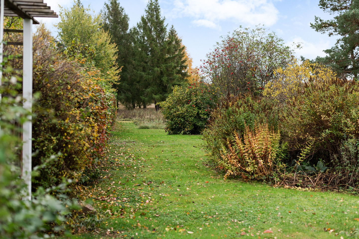 sön 1/11 – bild 30