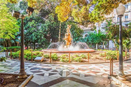 Alicante C | Alicante