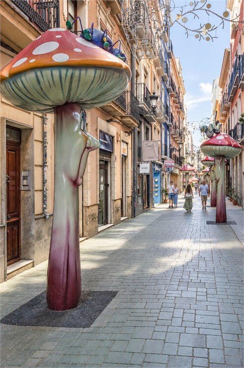 Alicante C | Alicante