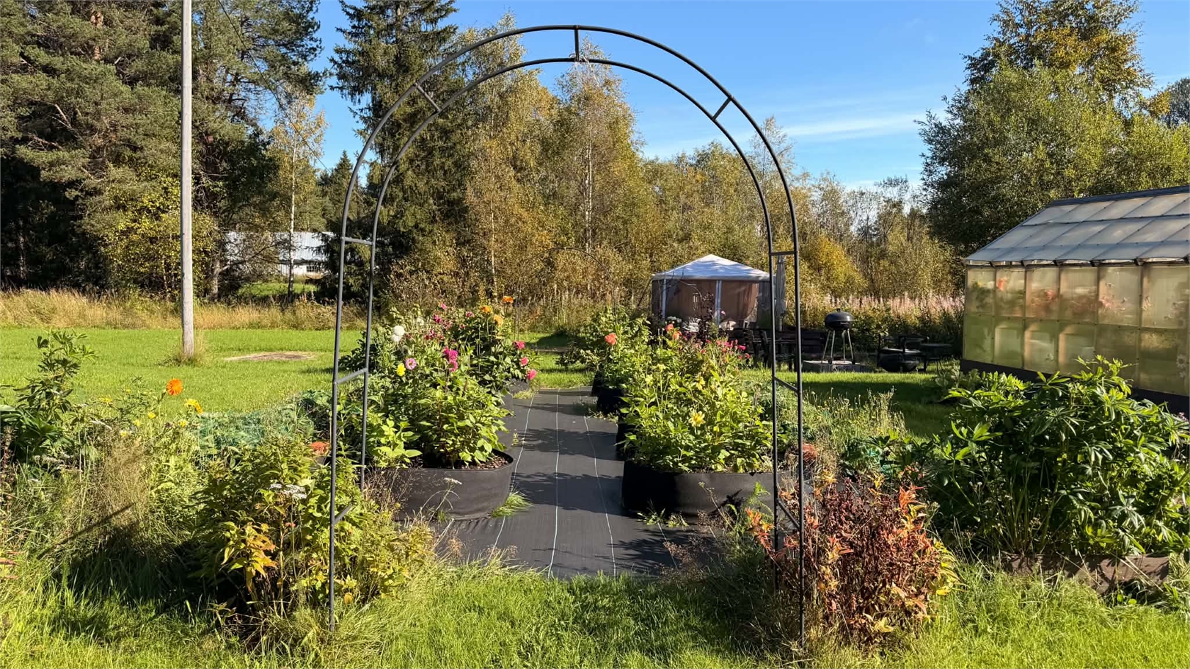 tis 27/10 – bild 39