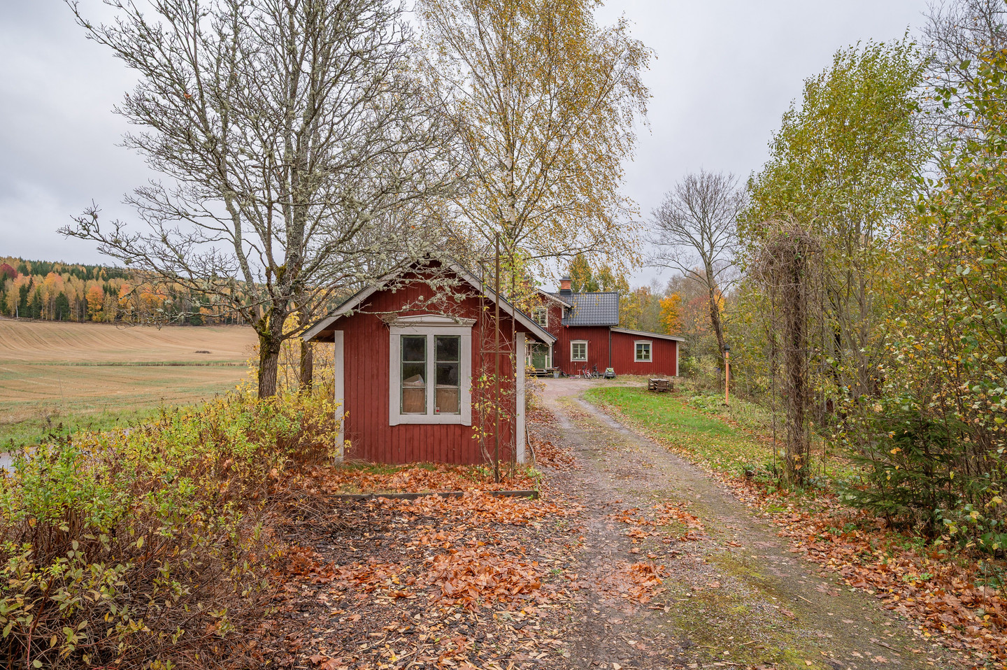 lör 24/10 – bild 58