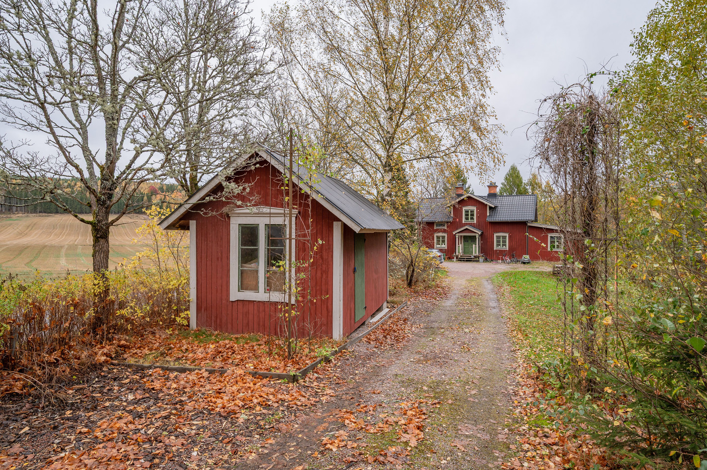 lör 24/10 – bild 3